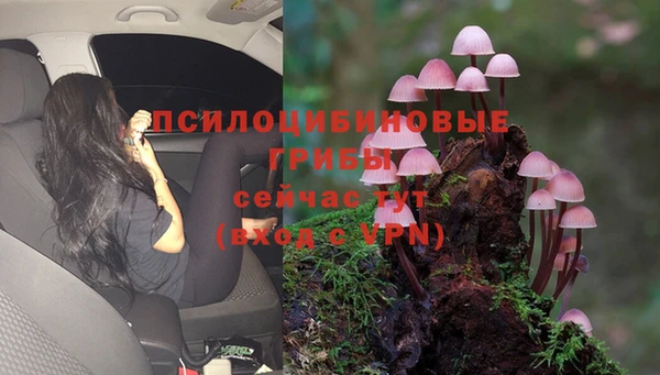 PSILOCYBIN Волоколамск